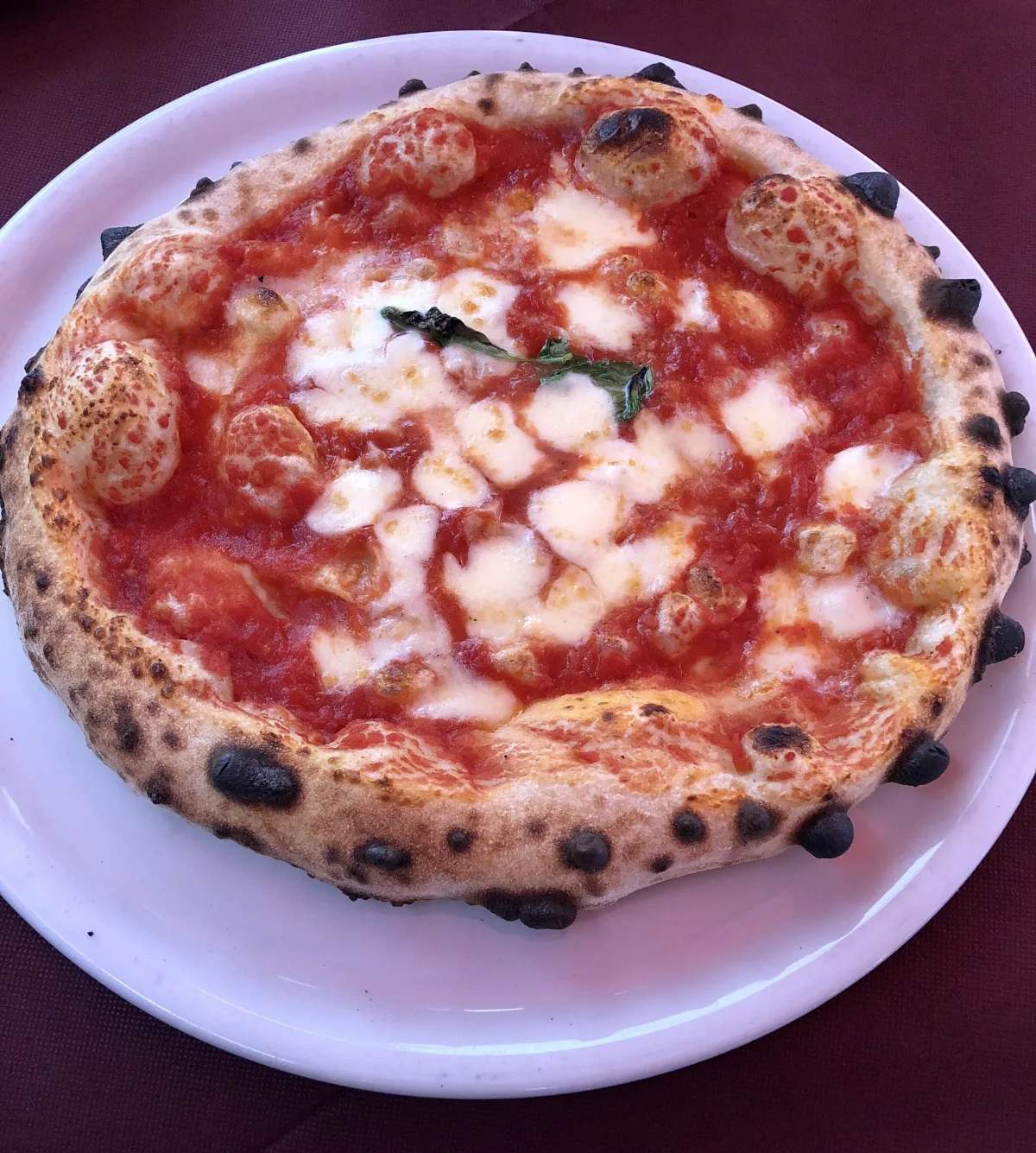 Pica margerita